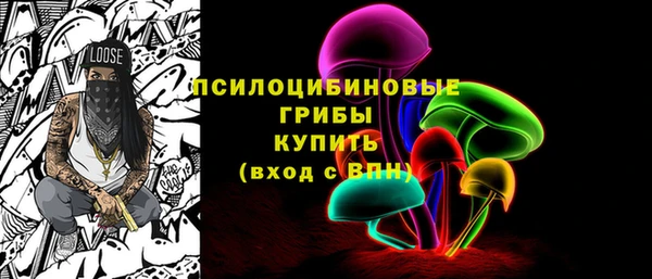 соль курить ск Дмитровск