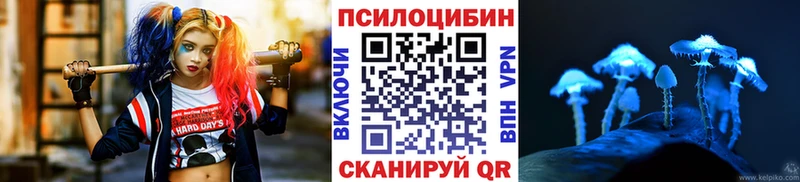 Псилоцибиновые грибы GOLDEN TEACHER Котовск